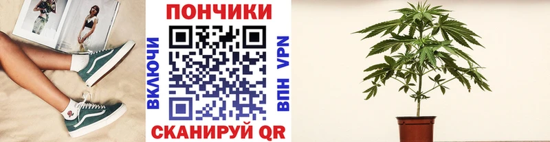 Купить закладку ГАШИШ  ЭКСТАЗИ  Cocaine  Альфа ПВП  АМФ  Мефедрон  Конопля  Дивногорск