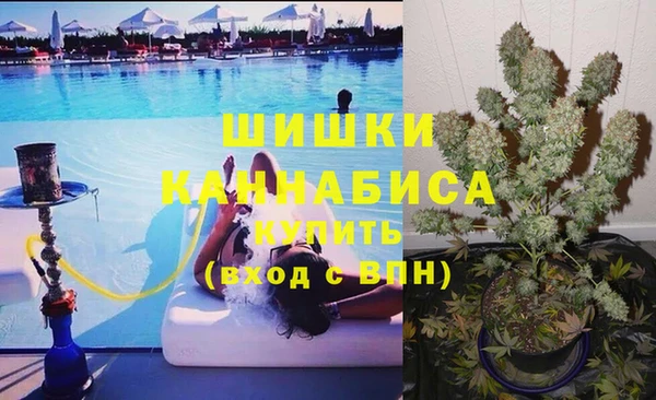 гидра Бронницы