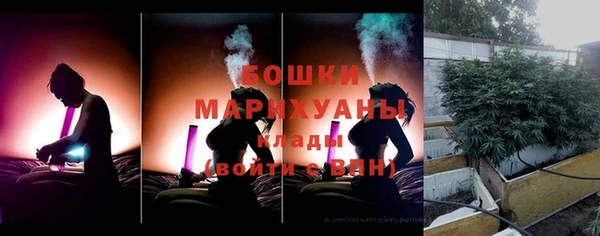 apvp Бородино