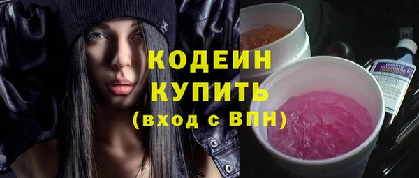 apvp Бородино