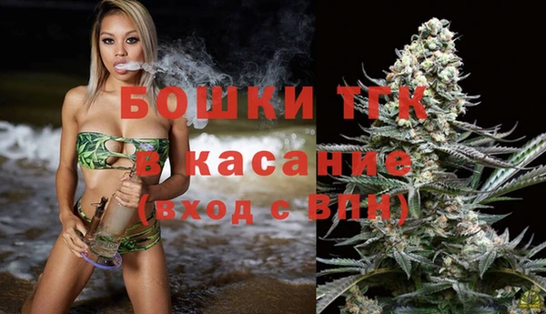 гидра Бронницы