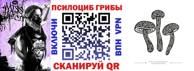 Галлюциногенные грибы GOLDEN TEACHER  Купить  Дивногорск 