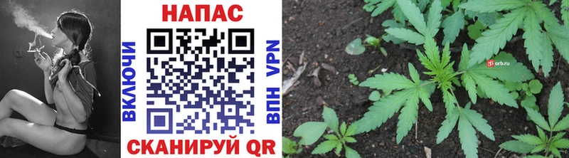Канабис THC 21%  Купить закладки  Дивногорск 